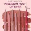 DENESTUP Lip Liner Combo Lip Plumper and Long Lasting Waterproof