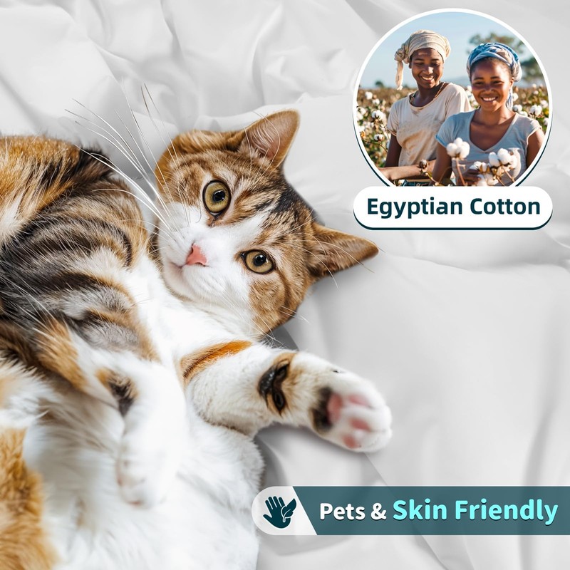 LBRO2M 100% Cotton 1200 Thread Count Full Size Sheets Set,16