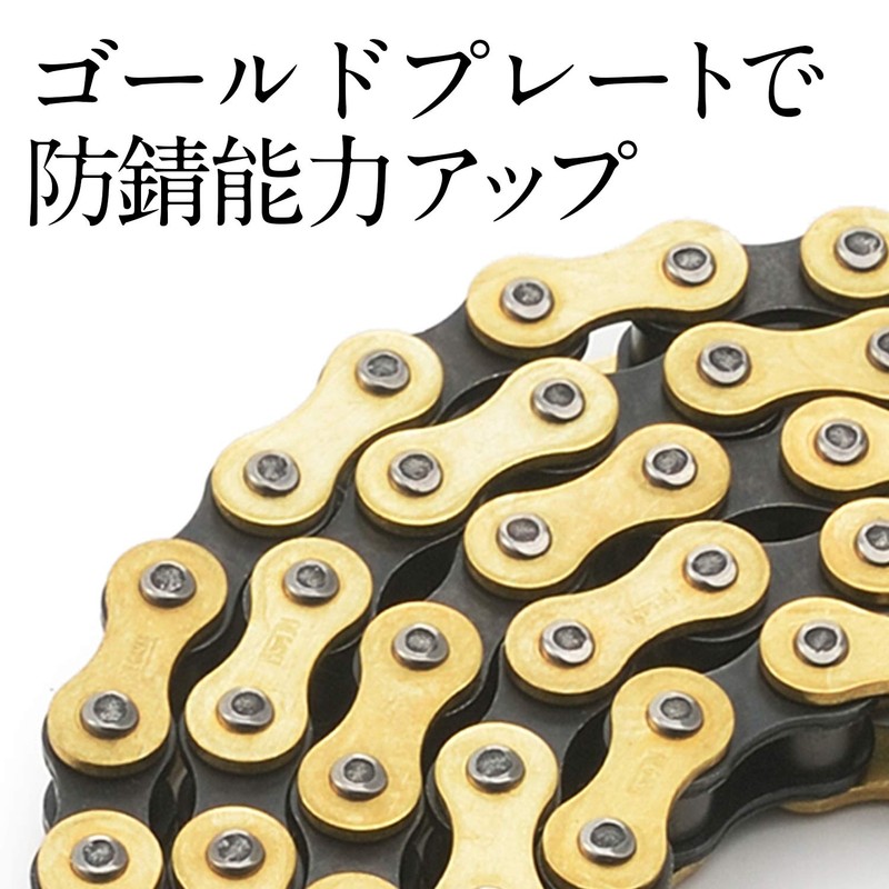 Regina 14972 Daytona Motorcycle Gold Chain with Clip Joint 420-100