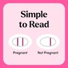 First Response Early Result Pregnancy Test, 5 Count Pack of