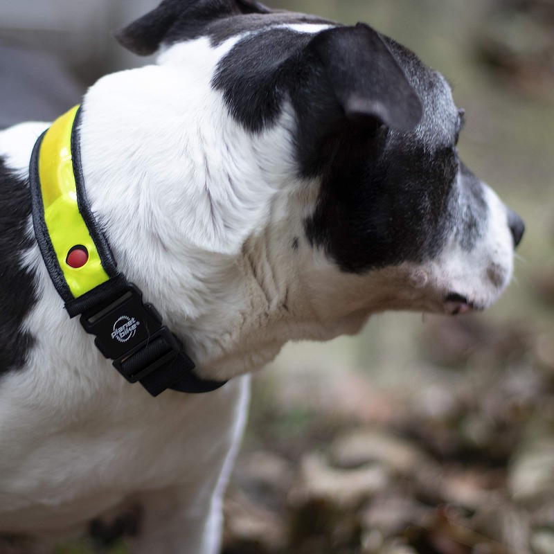 Planet bicicleta BRT Strap Multi-Use LED bicicleta Safety Light