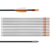 LWANO 31" Training Arrows-Archery Practice Target Arrows for Kids Youth
