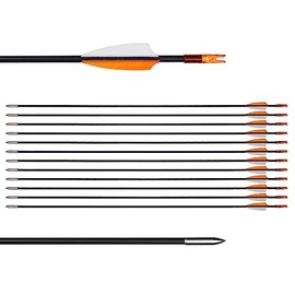 LWANO 31" Training Arrows-Archery Practice Target Arrows for Kids Youth or Beginners with Durable Shaft on Recurve Bow Compound Bow and Longbow