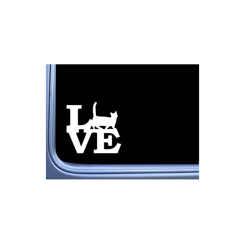 EZ-STIK Munchkin Cat Love M355 6 inch Sticker Decal kitten