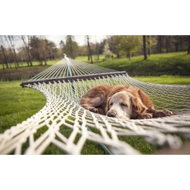 PETS HEALTH SOLUTION Dog Stress Pills - Premium Relaxant for Dogs - Amazing Calming AID - Natural Formula - Treat - Valerian Root Dogs - 180 Treats (2 Bottle)