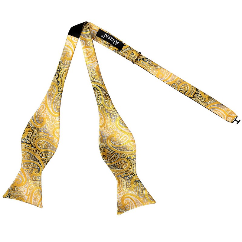 Alizeal Mens Gradient Paisley Self Bow Tie and Hanky Set,