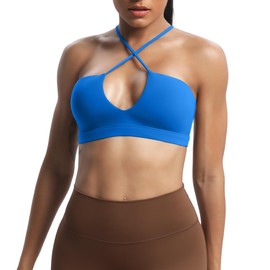 Aoxjox Women's Workout Sports Bras Jamie Deep V Fitness Training Gym Bra Yoga Crop Tank (Directoire Blue, X-Small)