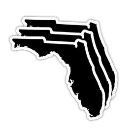 (3PCS) Florida State Map Sticker, US State Sticker - Waterproof Vinyl Decal for Tumblers, Water Bottles, Laptops, Books, Scrapbooks, Great for Florida Lovers 3 x 2.7 Inch