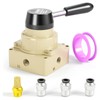 TAILONZ PNEUMATIC Rotary Lever Hand Valve HV-02 1/4 Inch BSP