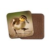 1 x Cute Duckling Coaster - Duck Baby Animals Bird