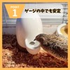 MaT store Hamster Drinking Water Tank Small Animal Watering Pet