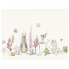 Peter Rabbit Original Small Glass Worktop Protector (Cl)