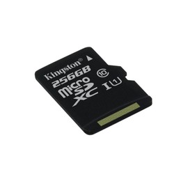 Kingston Canvas Select (SDCS/256GBSP) MicroSD Class 10 UHS-I Speeds Up to 80 MB/s Read (Card only) - Bring Your HD Videos to Life