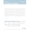 RelaxMaternity 5202 - Supportive Figure-Shaping Postnatal Briefs - 4 Support