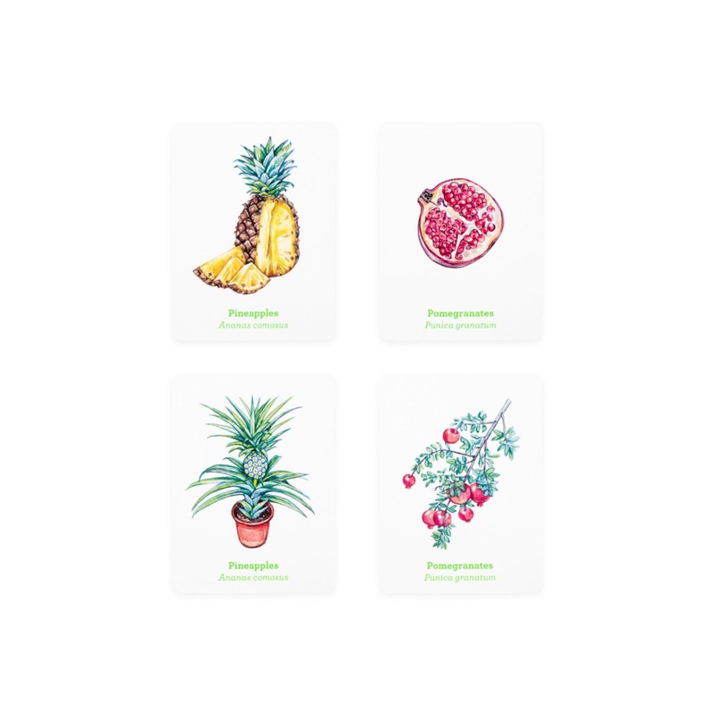 Gardener's Match: A Fruit and Vegetable Memory Game
