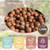 Legigo 8 LB Organic Leca Clay Pebbles for Plants, 4mm-16mm