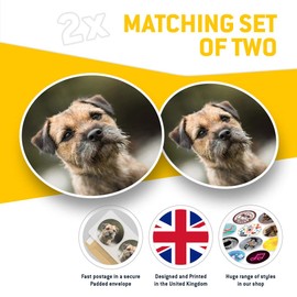Vinyl Stickers (Set of 2) 7.5cm - Brown Border Terrier Dog Puppy #15940