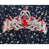 Dgasin Retirement Party Set - Red Tiara & Sash for