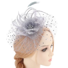 DRESHOW Fascinators Hat Flower Mesh Feathers on a Headband and a Forked Clip Cocktail Tea Party Headwear for Girls and Women