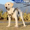 MESVIER Arnés para Perro Mediano Grande Pequeño con Correa 1.5m,
