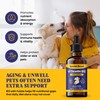 Special Breed Liquid Vitamin B12 for Dogs – Methylcobalamin and
