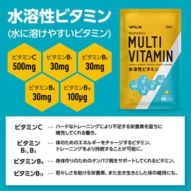 VALX マルチビタミン 水溶性ビタミン 山本義徳 1日あたりビタミンC500mg ビタミンB1 30mg ビタミンB2 30mg ビタミンB6 30mg ビタミンB12 100μg 配合 120粒
