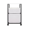 Naomi Home 2 Drawer Dresser for Bedroom, Stylish Tall Dressers