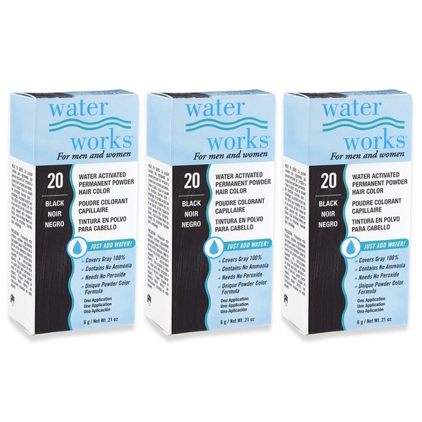 Water Works Powder Hair Color, Permanent, 3 packs (Black)