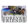 Malden International Designs Tabletop Photo Clips Wood Block Forever Friends