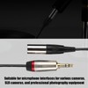 3.5mm Male to Mini XLR 3pin Male Audio Cable Adapter