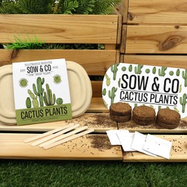 Gift Republic Cactus Plants Growing Kit Sow & Co Biodegradable Grow Kit Gardening Gift Cacti Seeds No Soil Eco-Friendly Growing Set Kids, Teens, Adults