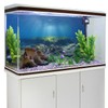 AWERT Ocean Floor Fish Tank Background Underwater Stone Aquarium Background