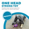 Outward Hound Helmet Headz Monkey Dog Toy, Plush Squeaky Fetch