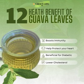 Green Guava Tea, Premium 150 Guava Leaves, 100% Natural & Pures. Loose Leaf Guava Herbal Tea. Guava Leaf Tea. No Sugar, No Caffeine, No Gluten, Vegan. (Medium, 2.50, Ounce)