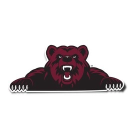 Desert Cactus Shaw University Sticker Bears Vinyl Decal Laptop Water Bottle Car Scrapbook (IND 2)