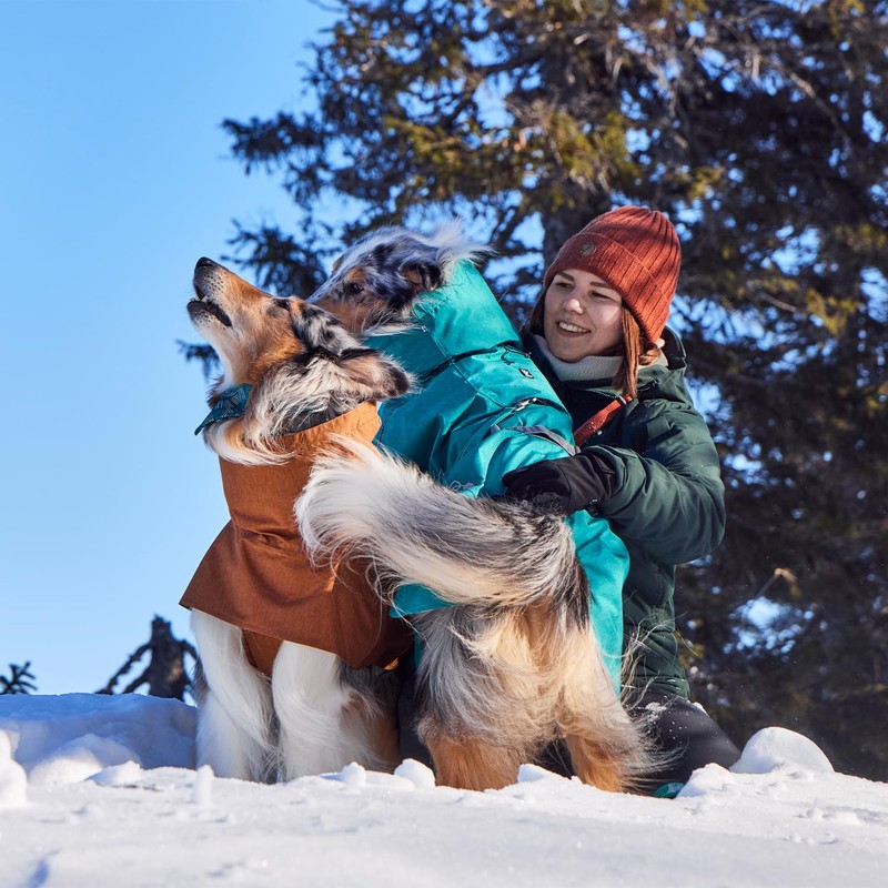 Monsoon Coat II Eco Dog Coat (Peacock 35)