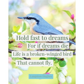 Langston Hughes Quote Poster - 16 x 20 – Motivational – Inspirational – Growth Mindset – Classroom Decor - History Poster - Kids Room - Social Studies