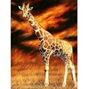 Diamond Painting Set, Picture with Giraffe Motif and Accessories, Size