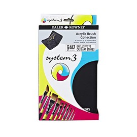 Daler Rowney System 3 Brushes In Case Cass Exclusive Set of 10
