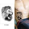 Lion Tattoos Arm Tattoos Fake Tattoos Festival Tattoos Lion Tattoos