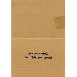 Cat Inside Moving Box - Avanti Funny Encouragement Card