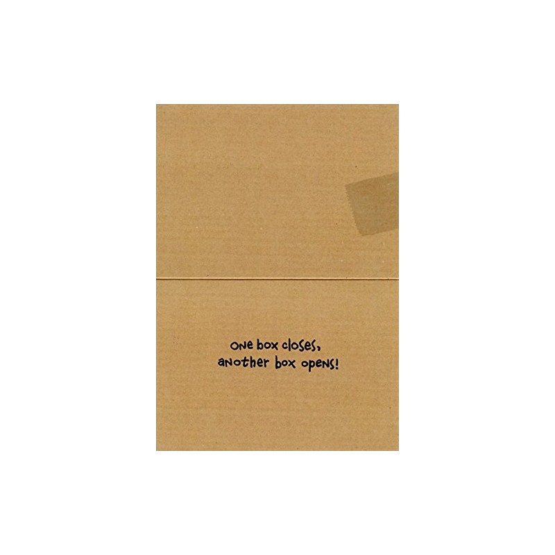 Cat Inside Moving Box - Avanti Funny Encouragement Card