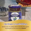 ChocZero Keto Blueberry Fruit Spread, No Added Sugar, Low Carb,