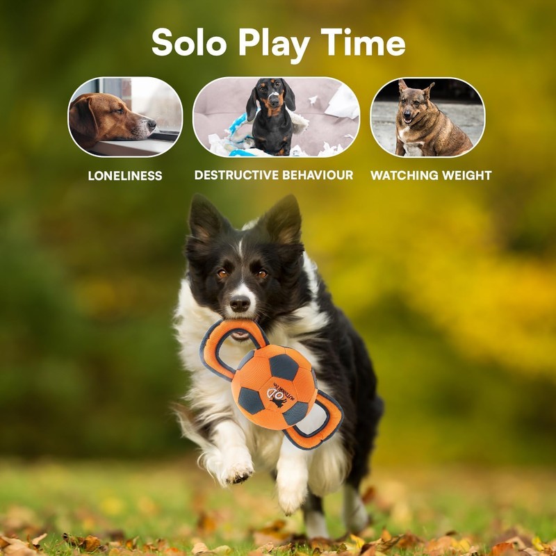 ALL FOR PAWS Ballistic Handle Ball Dog Toy with Squeaker,