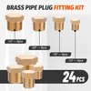 Ailbiuko 24 PCS Brass Hex Pipe Plug Fittings Kits,Brass Plugs