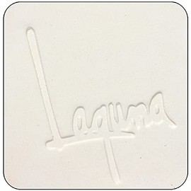 Laguna Clay - Whiteware Clay (Low-Fire) - Talcless - Smooth Texture - EM100 (5 lb)