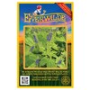 Everwilde Farms - 300 Mad-Dog Skullcap Native Wildflower Seeds -