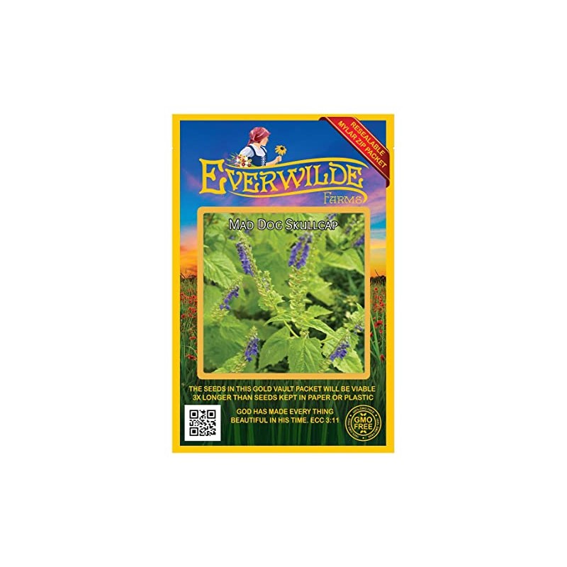 Everwilde Farms - 300 Mad-Dog Skullcap Native Wildflower Seeds -