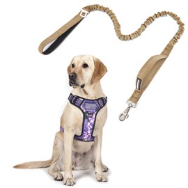 BUMBIN Dog Harness for Large Dogs No Pull, Tactical Dog Harness, with Handle, Adjustable Dog Vest Harness, 6Ft Bungee Dog Leash Large Dogs, No Pull Shock Absorbing Dog Leash with Car Seat Belt