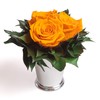 ROSEMARIE SCHULZ Heidelberg Infinity Flower in Silver Cup 3 Preserved